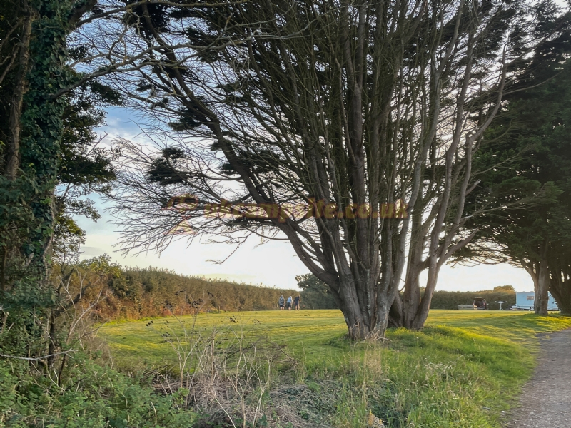 Gunwalloe Caravan Park