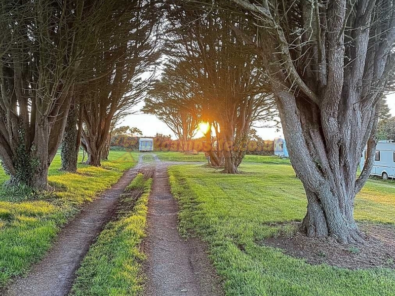 Gunwalloe Caravan Park
