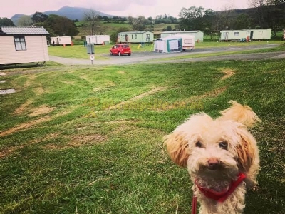 Bryn Gwyn Caravan Park