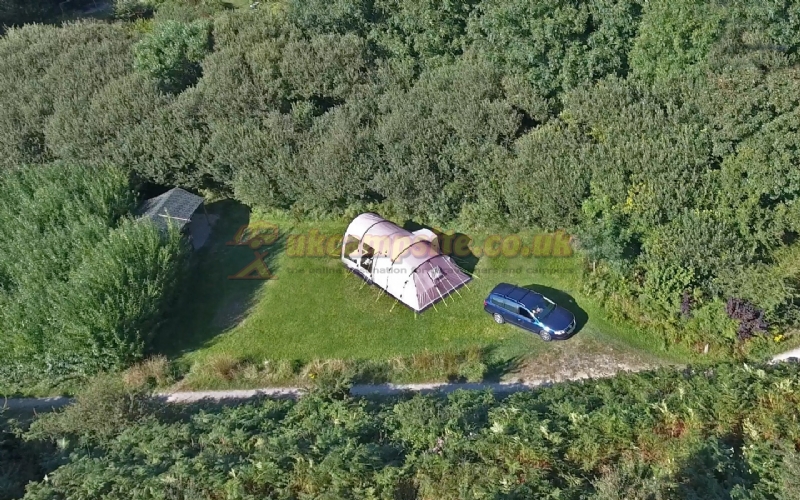 Trellyn Woodland Camping And Yurts