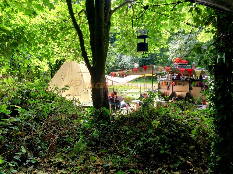 Trellyn Woodland Camping And Yurts