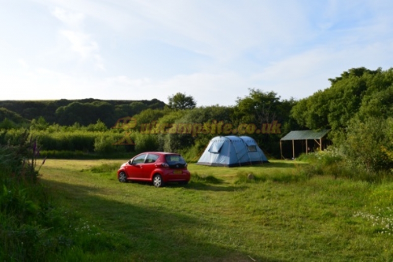 Trellyn Woodland Camping And Yurts