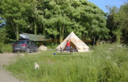 Trellyn Woodland Camping And Yurts