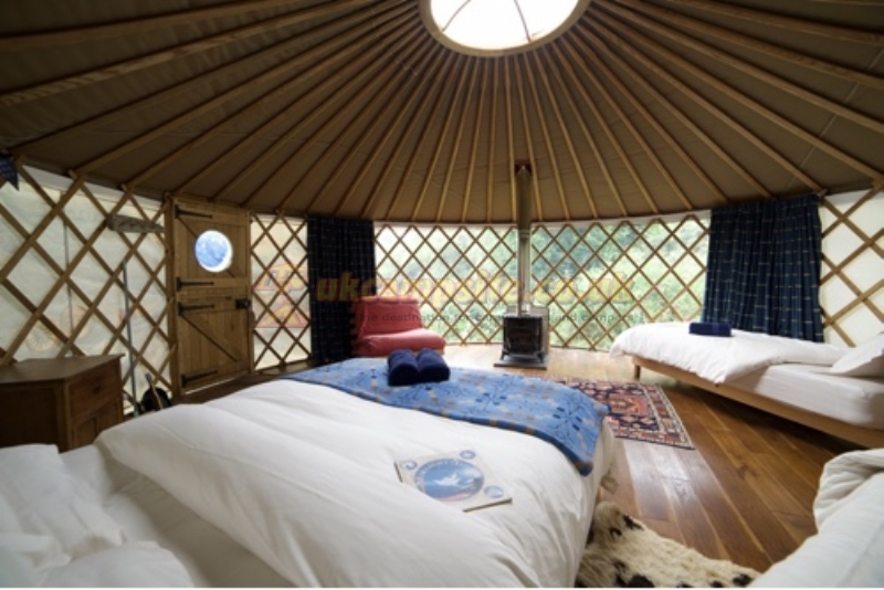 Trellyn Woodland Camping And Yurts