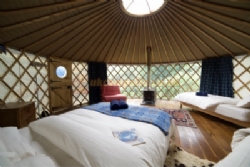 Trellyn Woodland Camping And Yurts