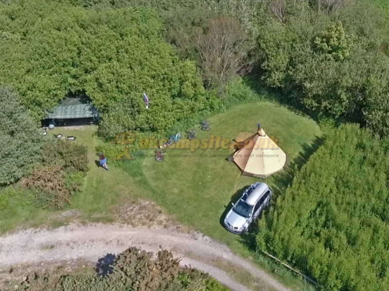 Trellyn Woodland Camping And Yurts