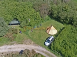 Trellyn Woodland Camping And Yurts