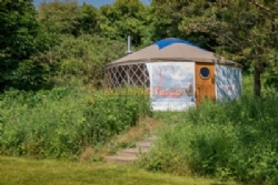 Trellyn Woodland Camping And Yurts