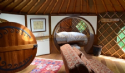 Trellyn Woodland Camping And Yurts