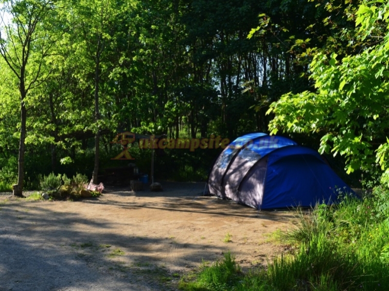 Trellyn Woodland Camping And Yurts