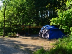 Trellyn Woodland Camping And Yurts