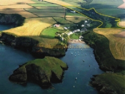 Trellyn Woodland Camping And Yurts