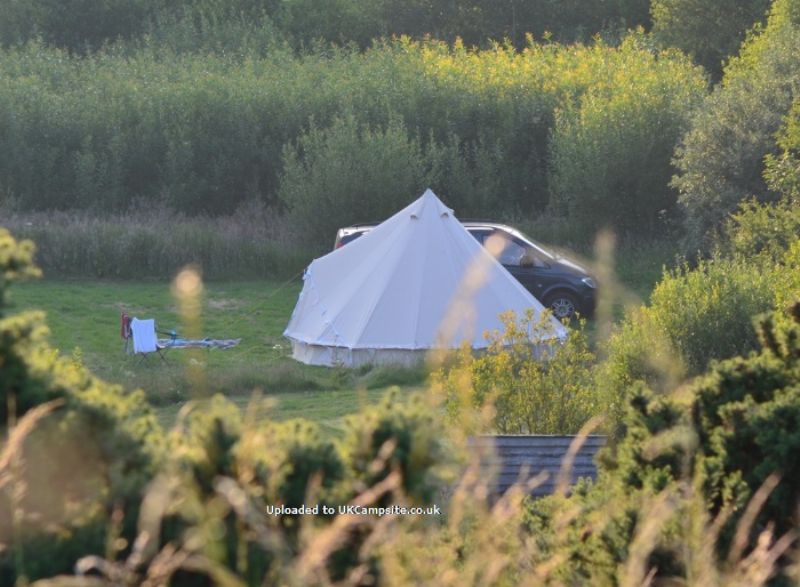 Trellyn Woodland Camping And Yurts