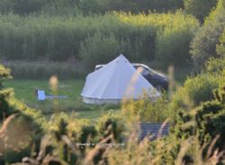 Trellyn Woodland Camping And Yurts