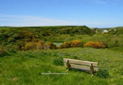 Trellyn Woodland Camping And Yurts