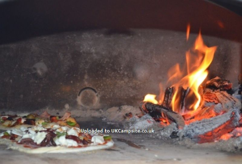 Trellyn Woodland Camping And Yurts