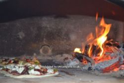 Trellyn Woodland Camping And Yurts