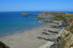 Trellyn Woodland Camping And Yurts