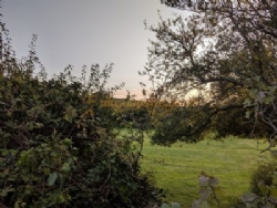 Shelford Nurseries Caravan Park