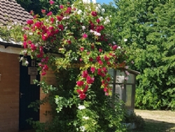 Shelford Nurseries Caravan Park