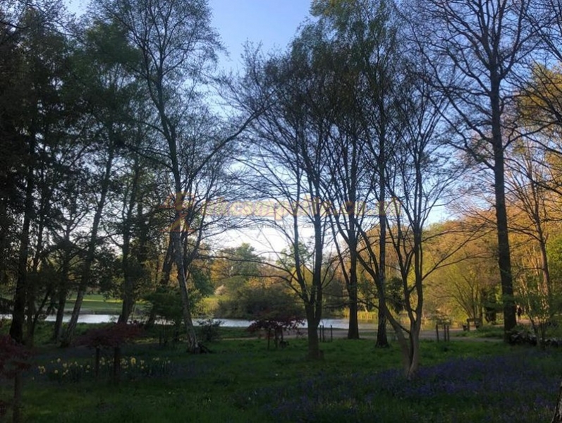 Bosworth Caravan Park