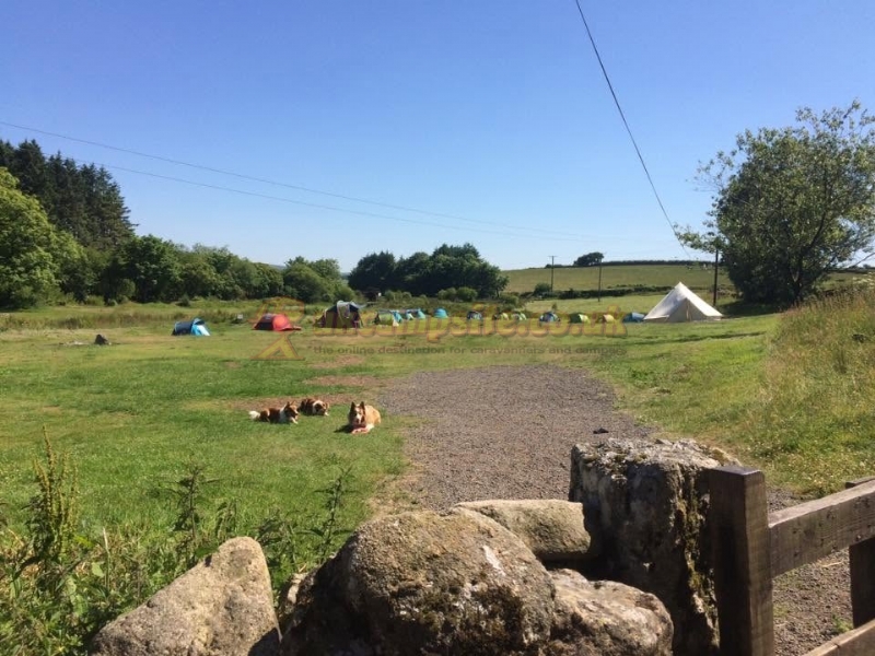 Runnage Farm Campsite And Bunkhouse