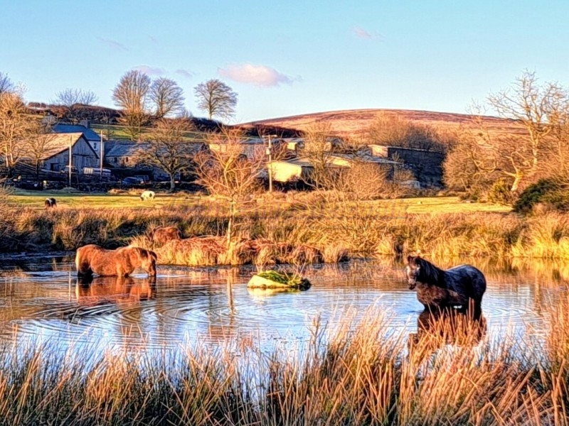 Runnage Farm Campsite And Bunkhouse