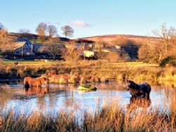 Runnage Farm Campsite And Bunkhouse