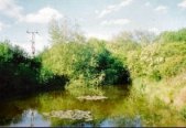 Denn Farm Adults Only Site