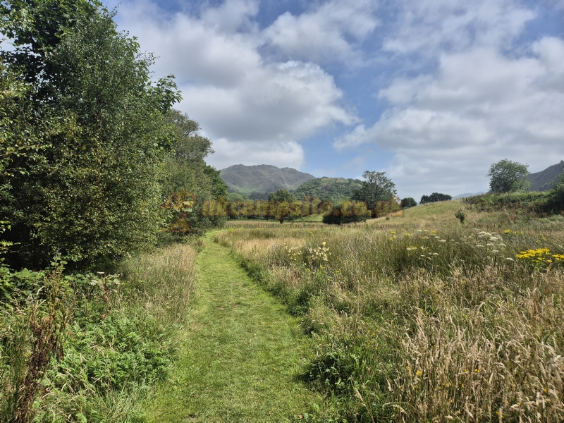 Cae Du Caravan And Camping Park