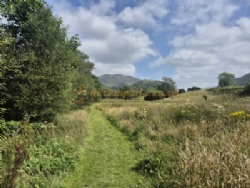 Cae Du Caravan And Camping Park