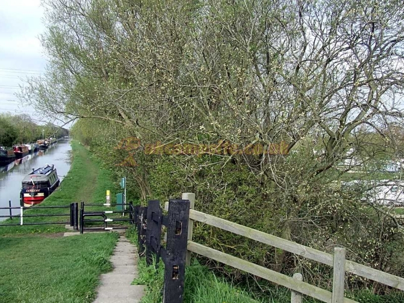 Waterfront Country Park