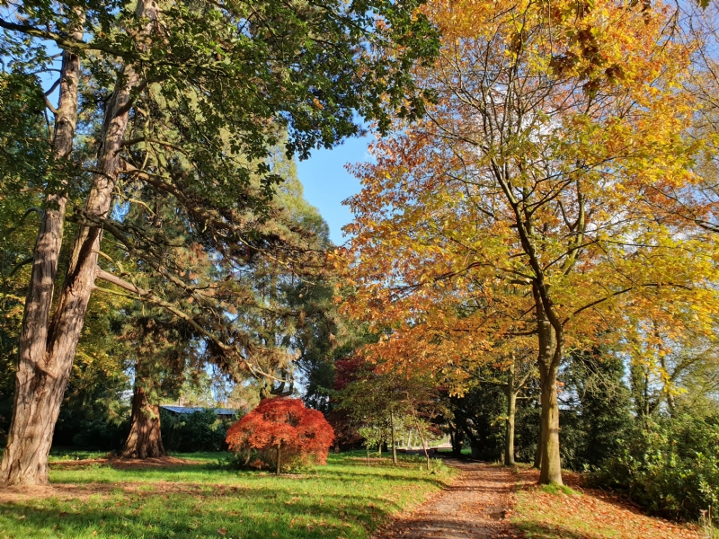 Capesthorne Hall Caravan Park