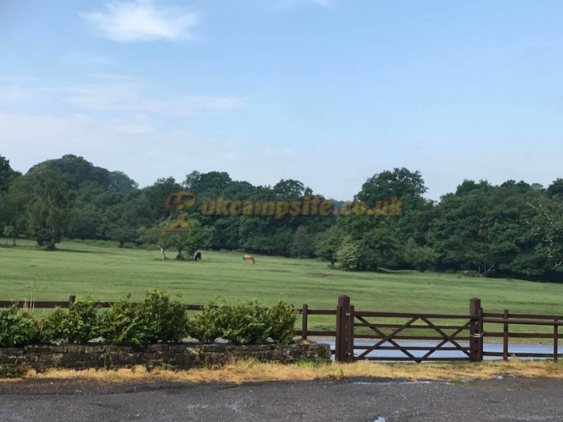 Sir Walter Tyrrell Campsite