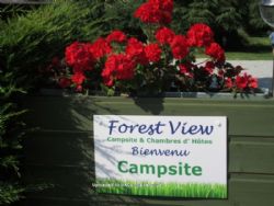 Forest View Campsite