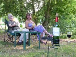 Forest View Campsite