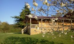 Forest View Campsite