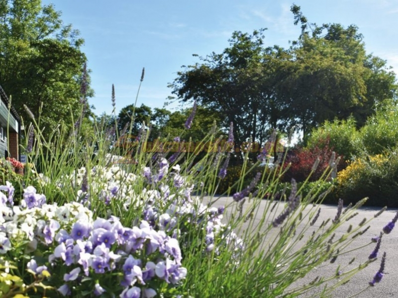 Harrogate Caravan Park