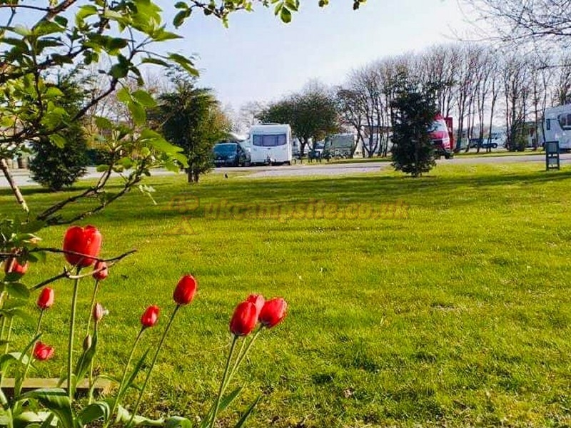 Harrogate Caravan Park