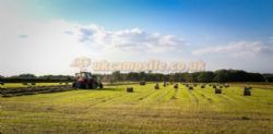 Green Acres Caravan Park