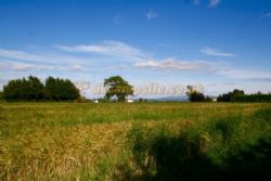 Green Acres Caravan Park