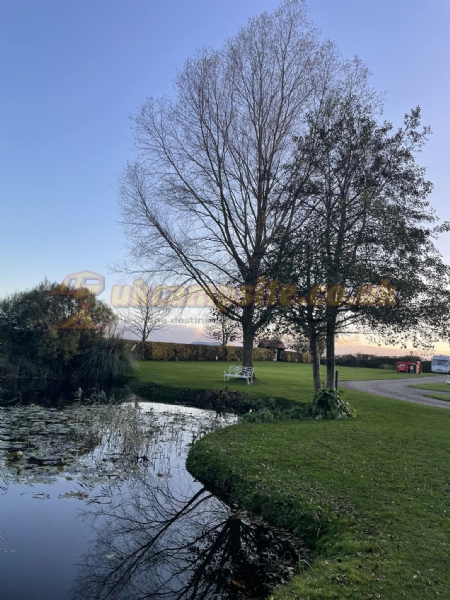 Run Cottage Touring Park