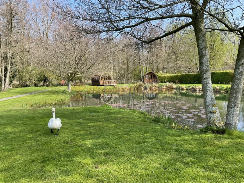 Run Cottage Touring Park