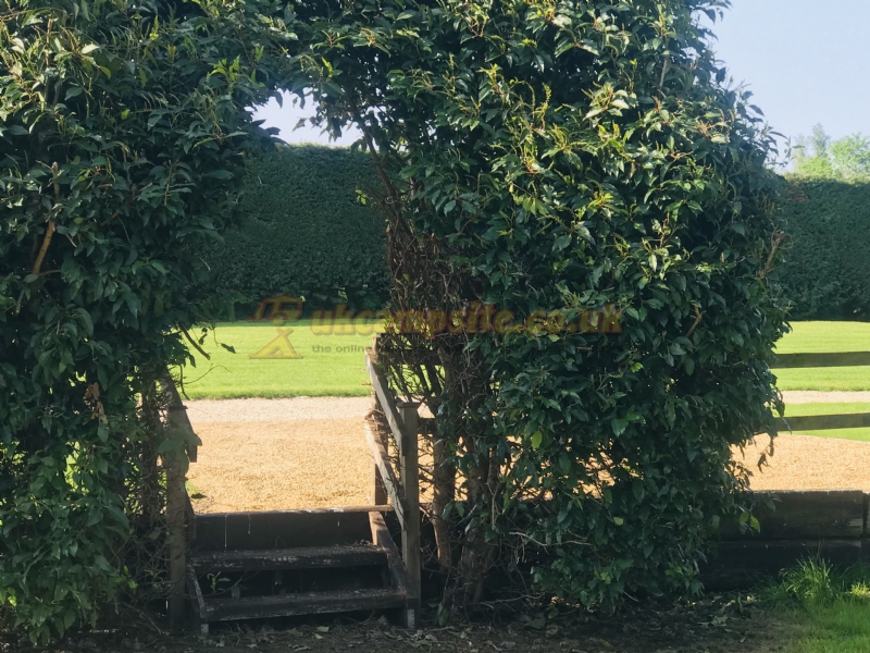 Low Farm Park Campsite