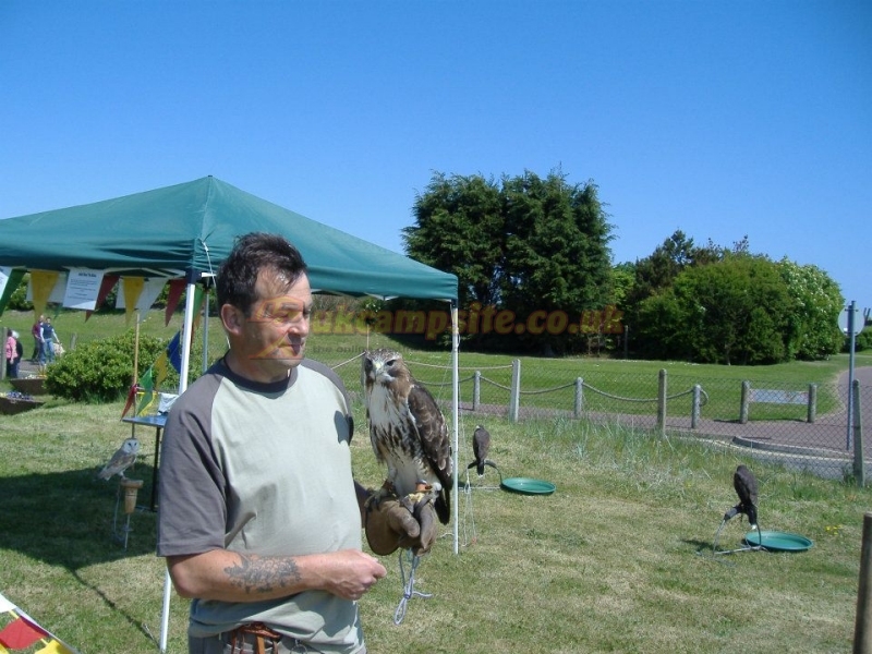 Tayview Caravan And Camping Park