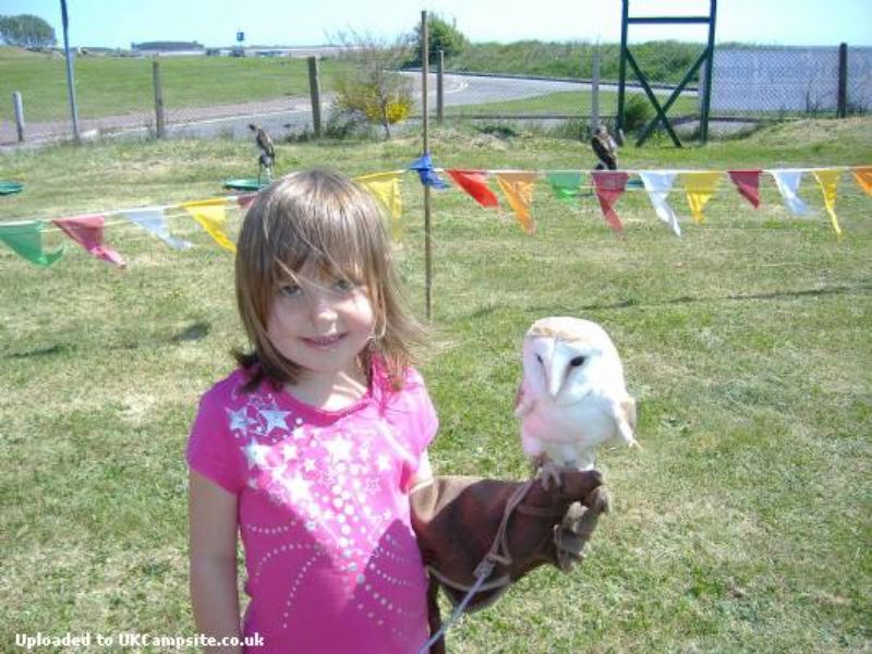 Tayview Caravan And Camping Park