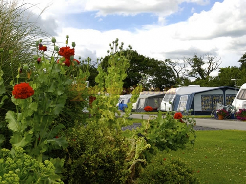Manor Wood Country Caravan Park