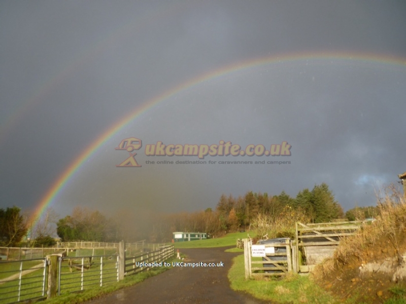 Marfit Head Farm Campsite