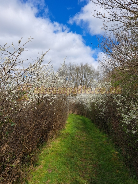 Hill Cottage Farm Camping And Caravan Park