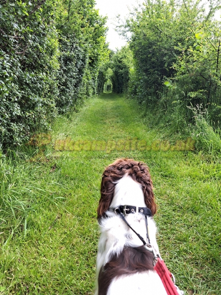 Hill Cottage Farm Camping And Caravan Park